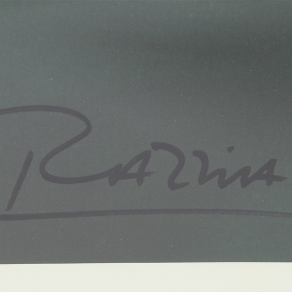 Louis Vuitton ORIGINAL XL Lithograph Print LV Vintage Marketing SIGNED ~RAZZIA - Picture 3 of 7